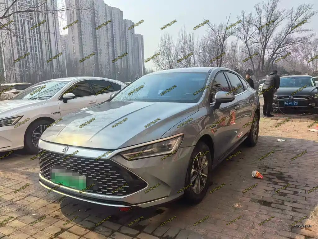BYD Qin PLUS 2023