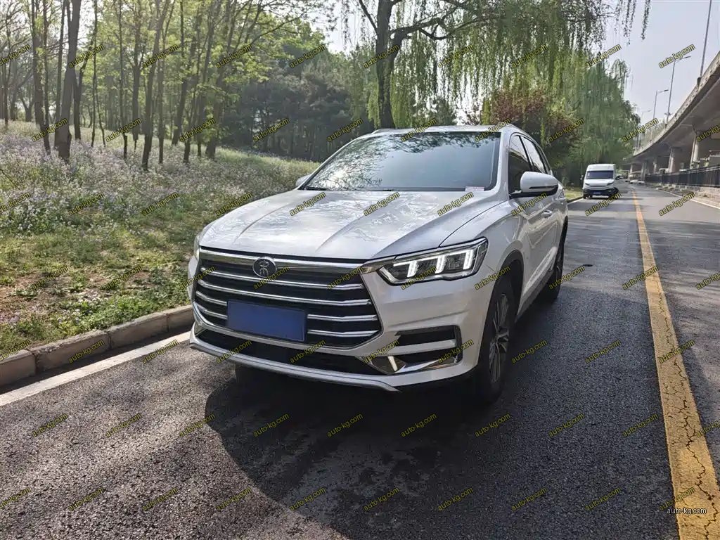 BYD Pro 2021