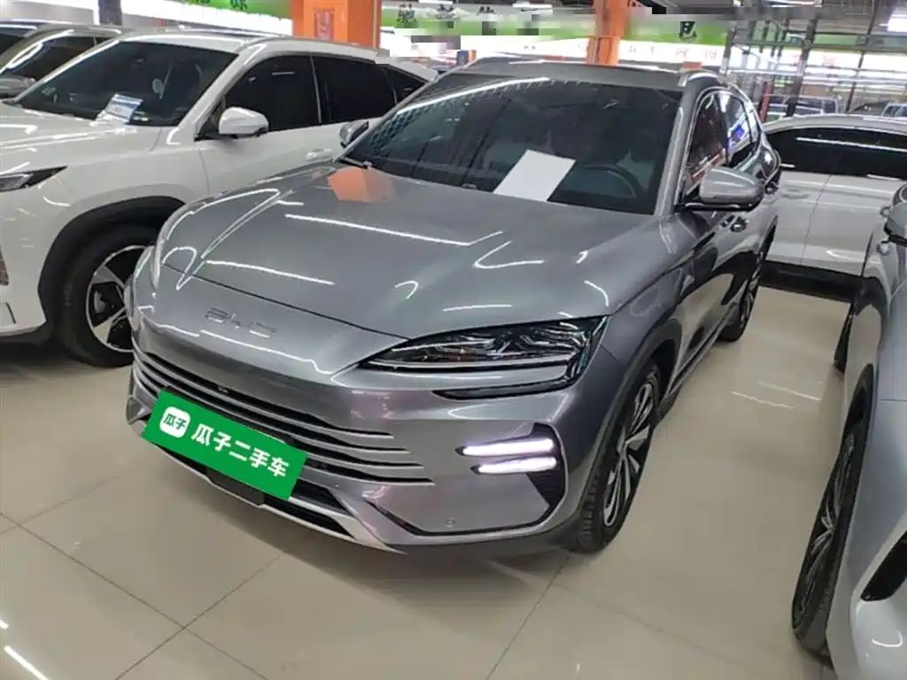 BYD PLUS New Energy 2024