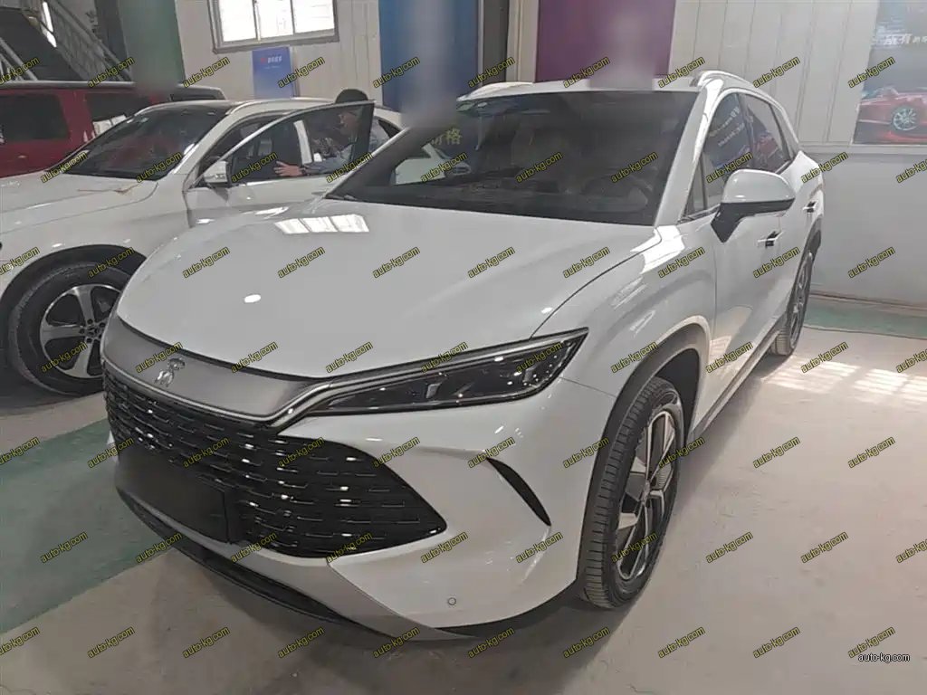 BYD L DM-i 2026