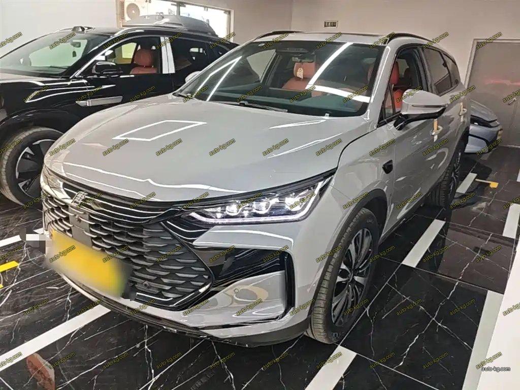 BYD Tang New Energy 2025