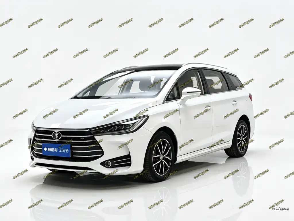 BYD MAX 2017