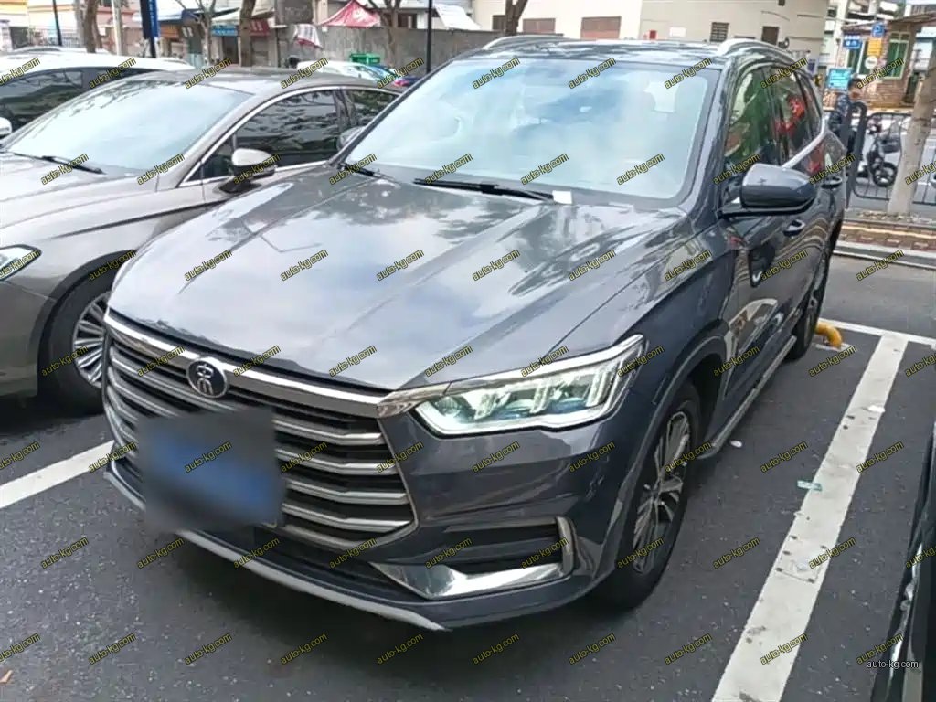 BYD Pro 2020