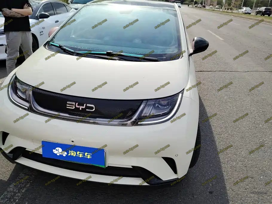 BYD Dolphin 2024