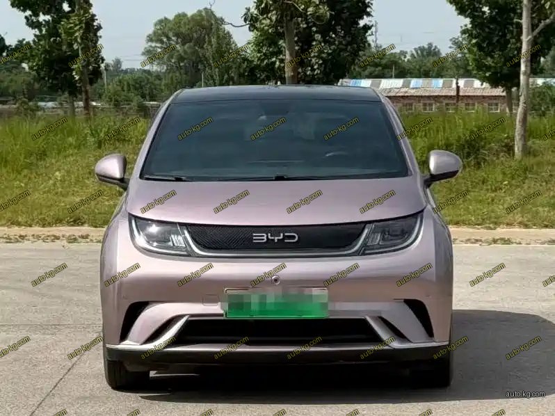 BYD Dolphin 2024