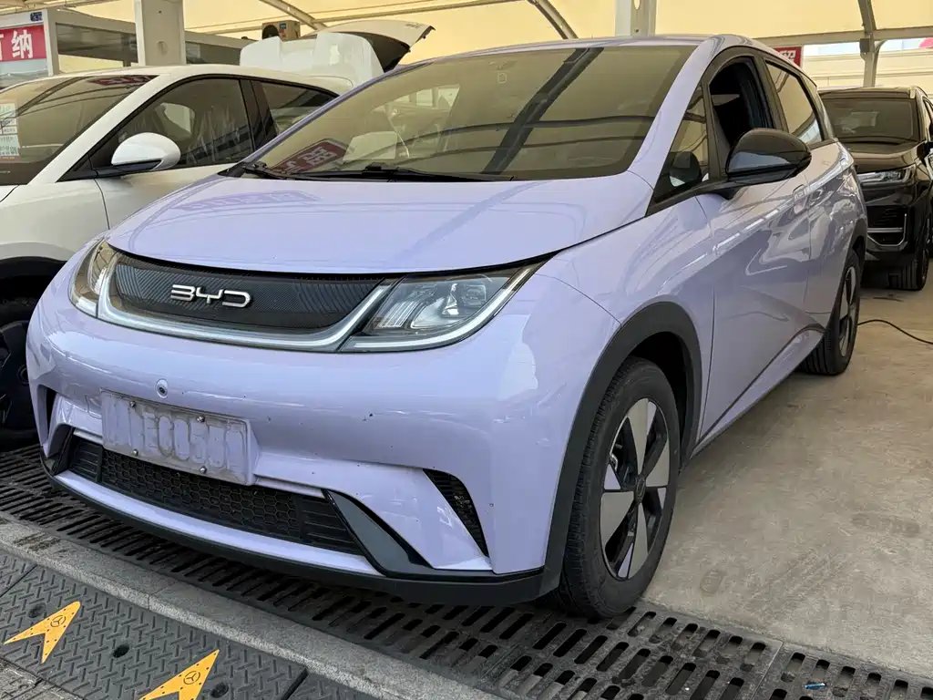 BYD Dolphin 2024