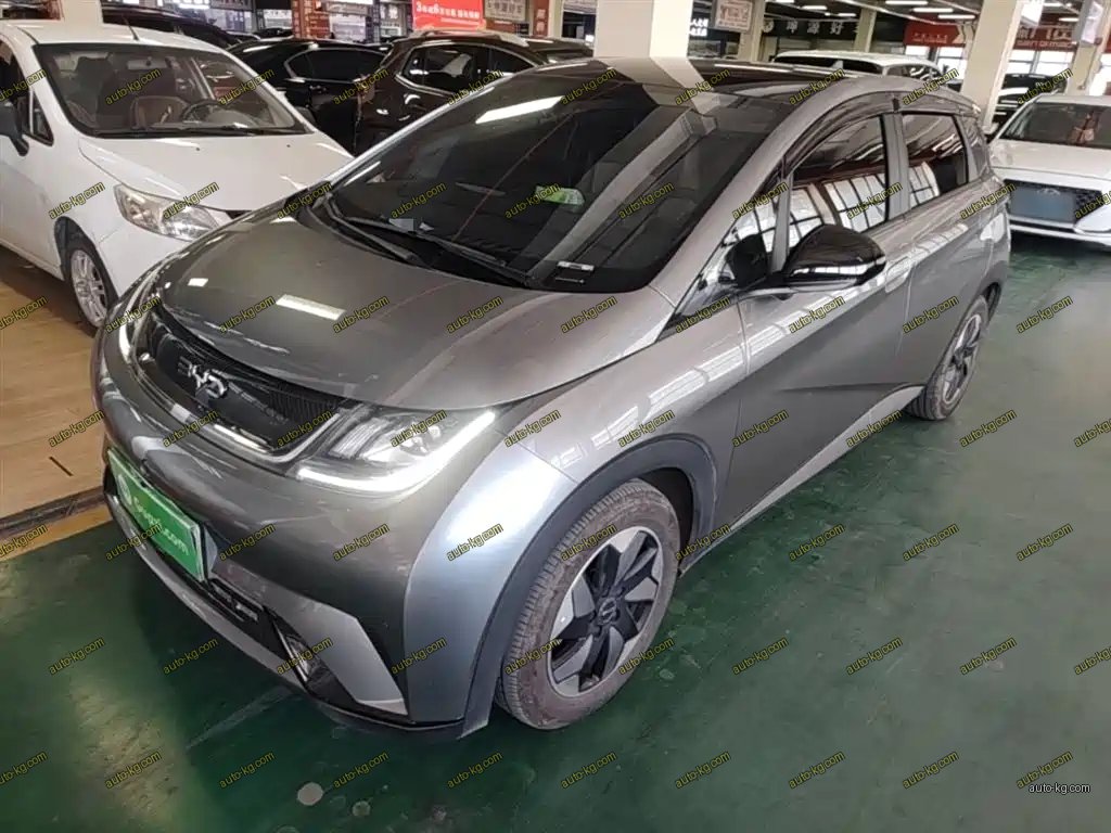 BYD Dolphin 2024