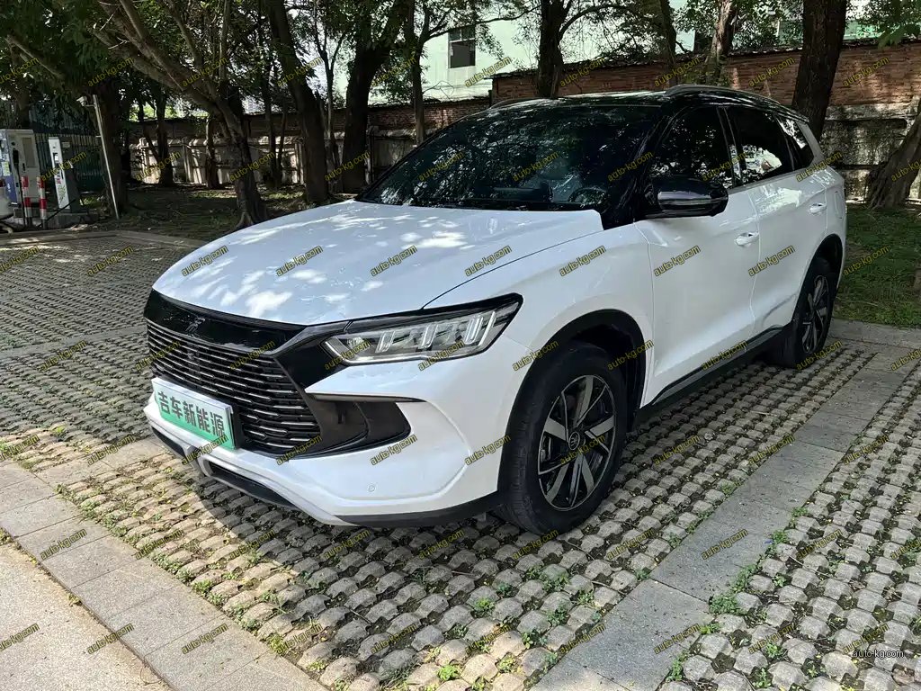 BYD Pro New Energy 2024