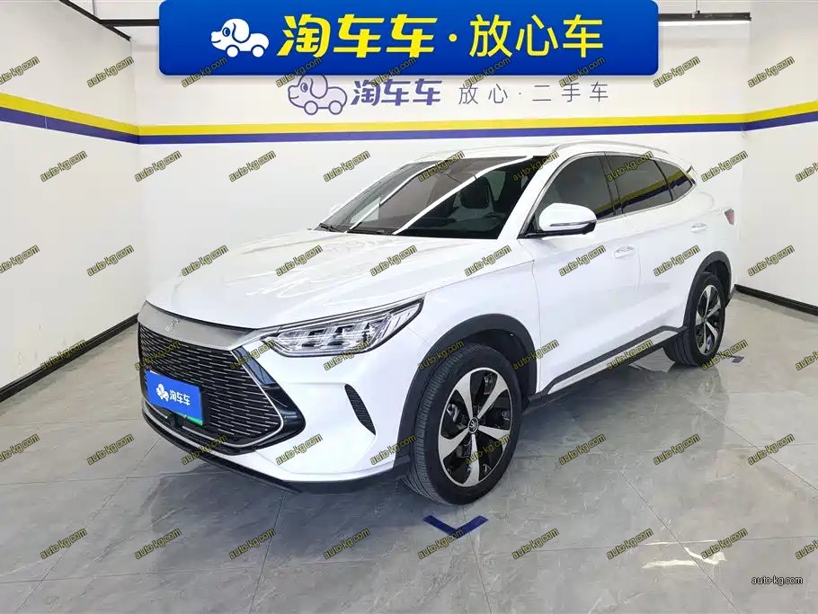 BYD PLUS New Energy 2022