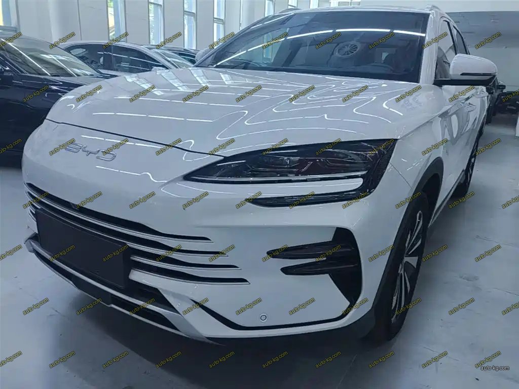 BYD PLUS New Energy 2024