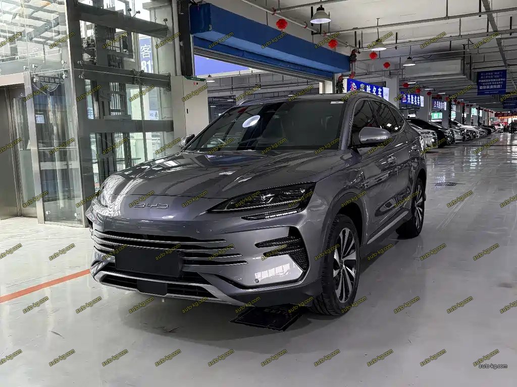 BYD PLUS New Energy 2024