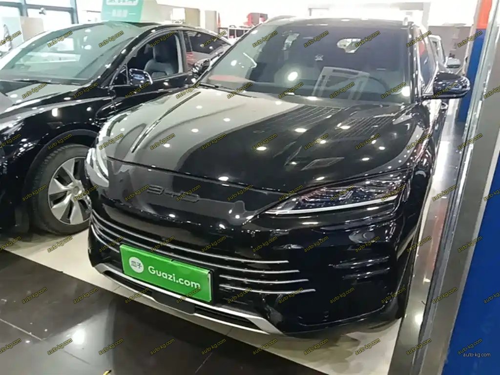BYD PLUS New Energy 2024