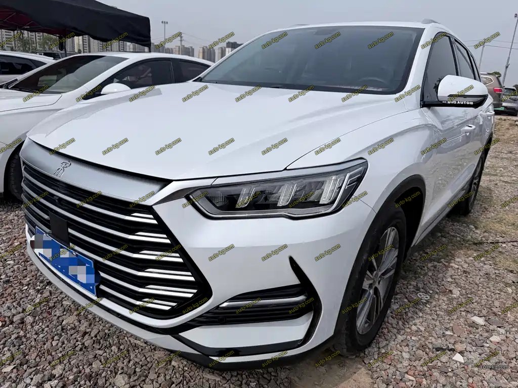 BYD Pro 2021