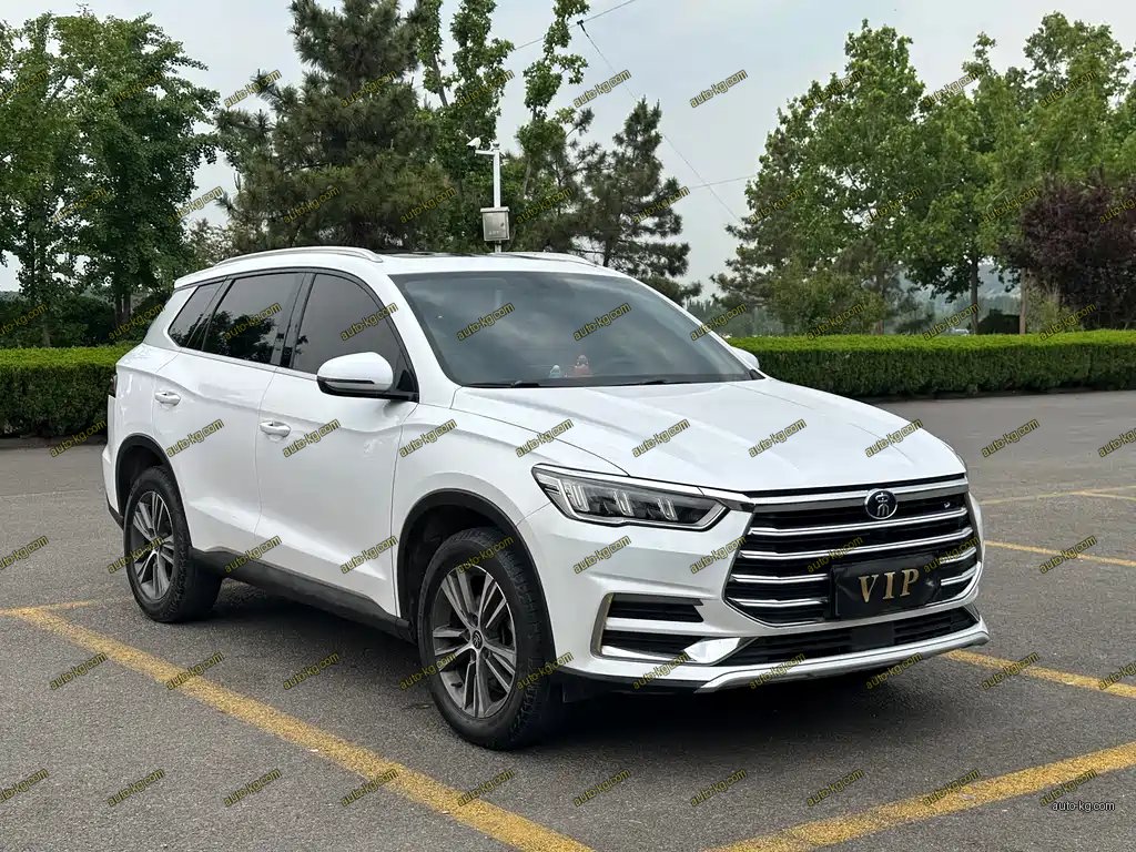 BYD Pro 2019