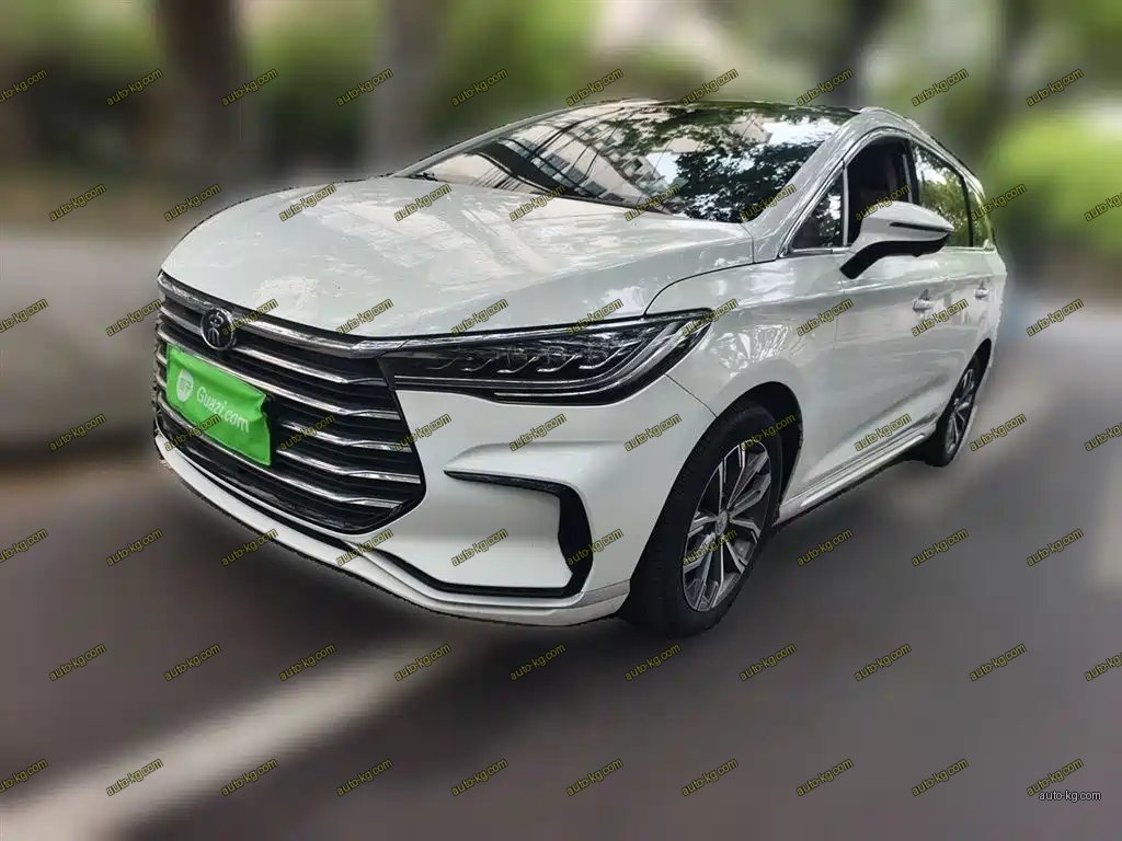 BYD MAX 2020