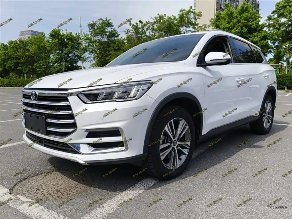 BYD Pro 2020