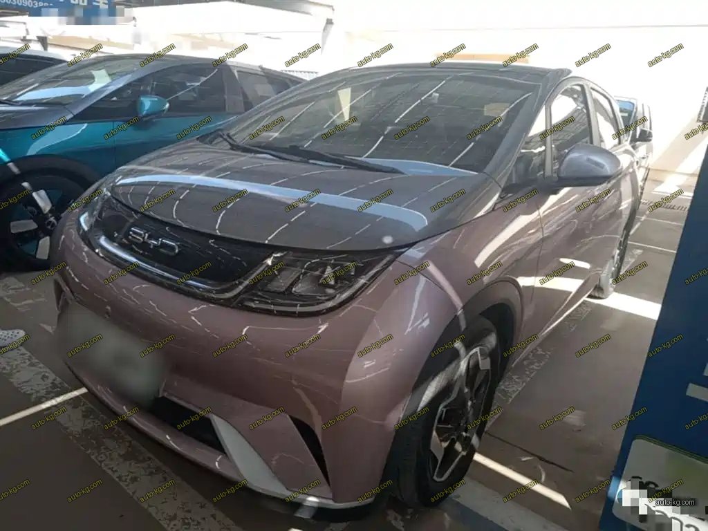 BYD Dolphin 2022