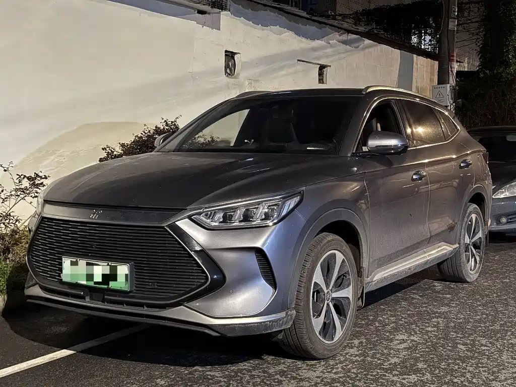 BYD PLUS New Energy 2021