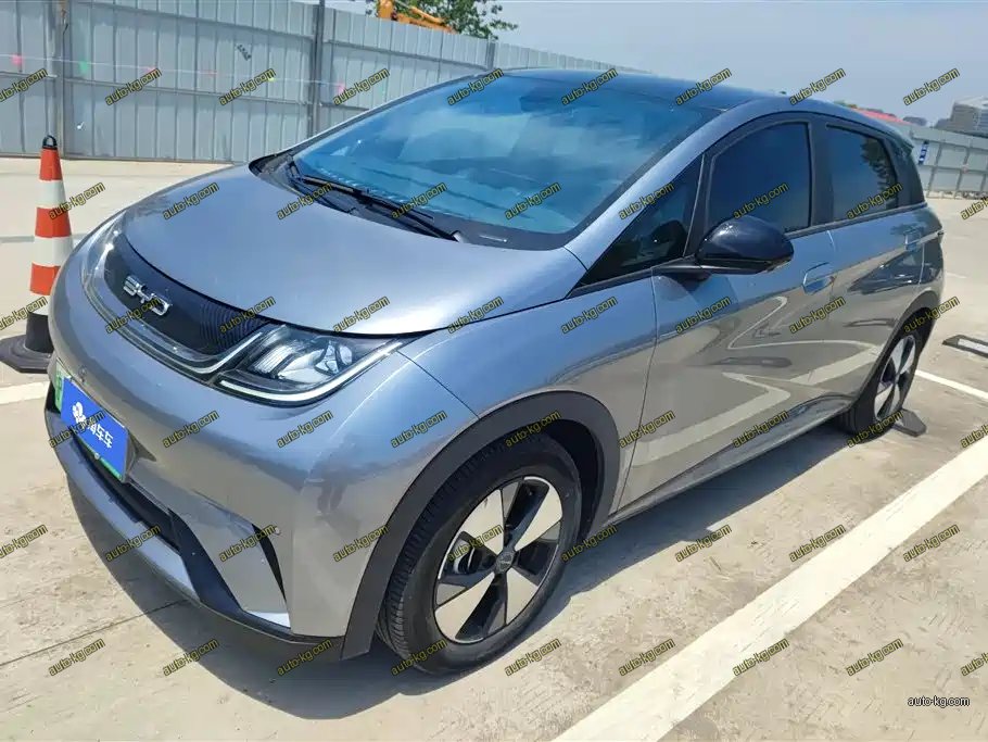 BYD Dolphin 2024