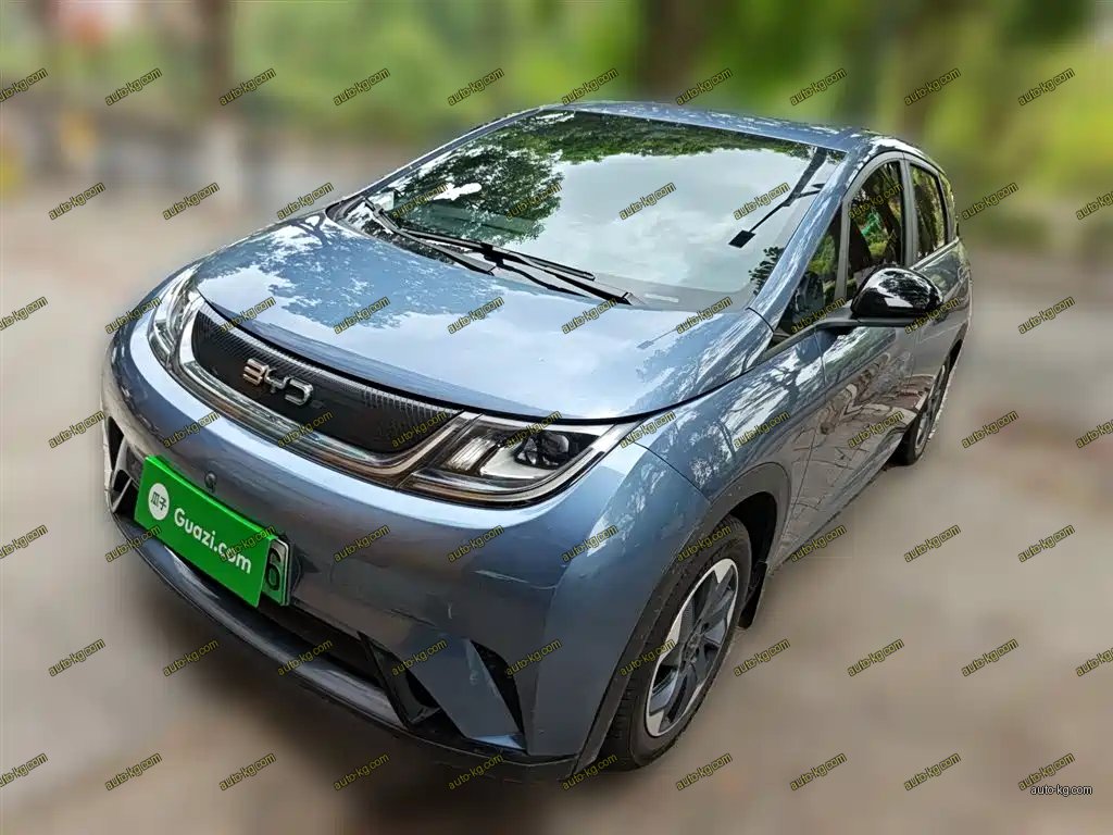 BYD Dolphin 2024