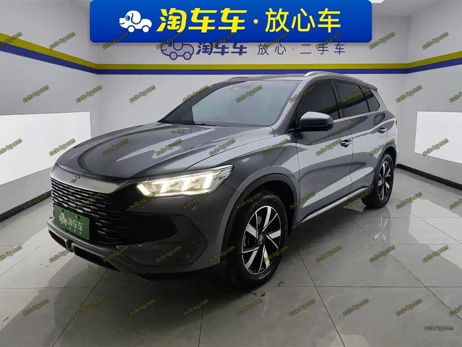 BYD Pro New Energy 2024