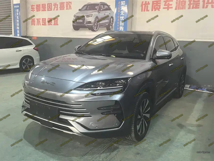 BYD PLUS New Energy 2023