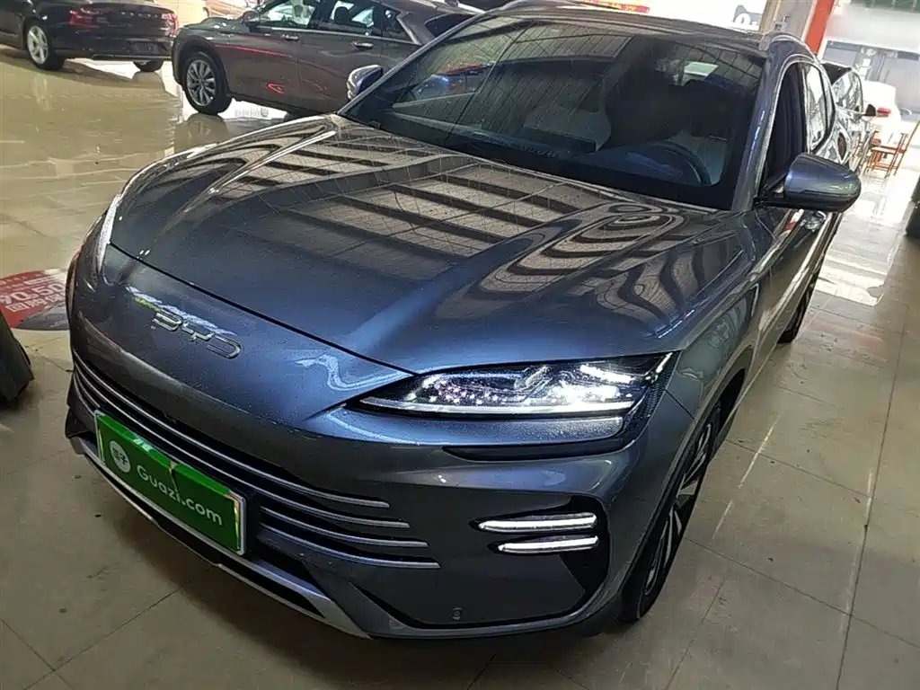 BYD PLUS New Energy 2024