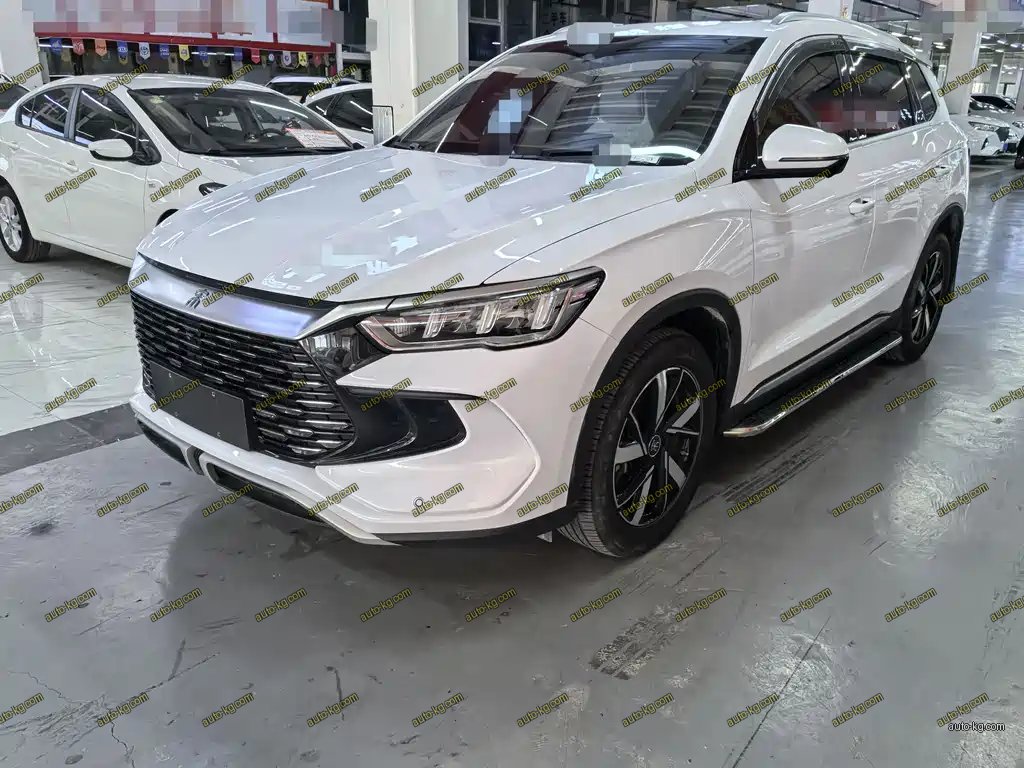 BYD Pro New Energy 2024