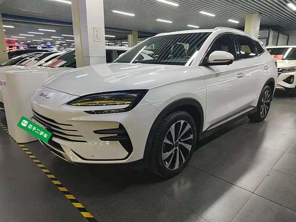BYD PLUS New Energy 2025