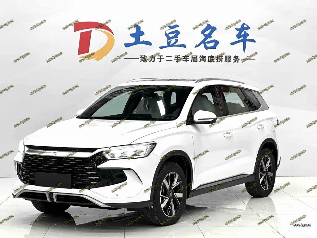 BYD Pro New Energy 2025