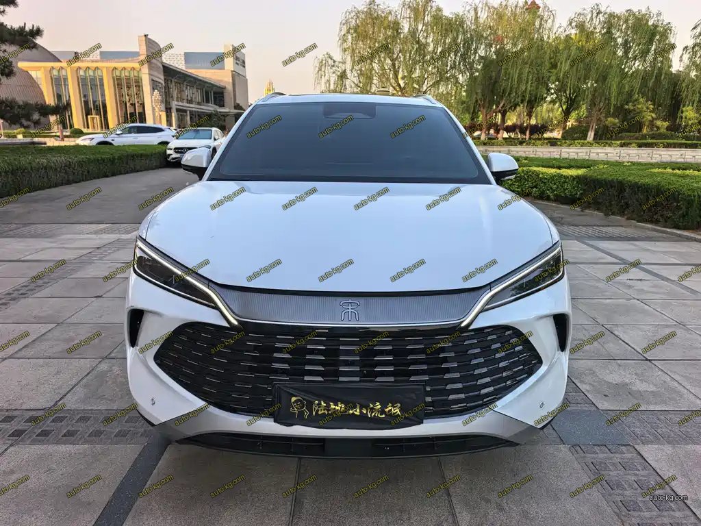 BYD L DM-i 2025