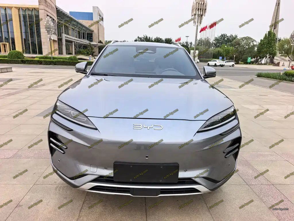 BYD PLUS New Energy 2025