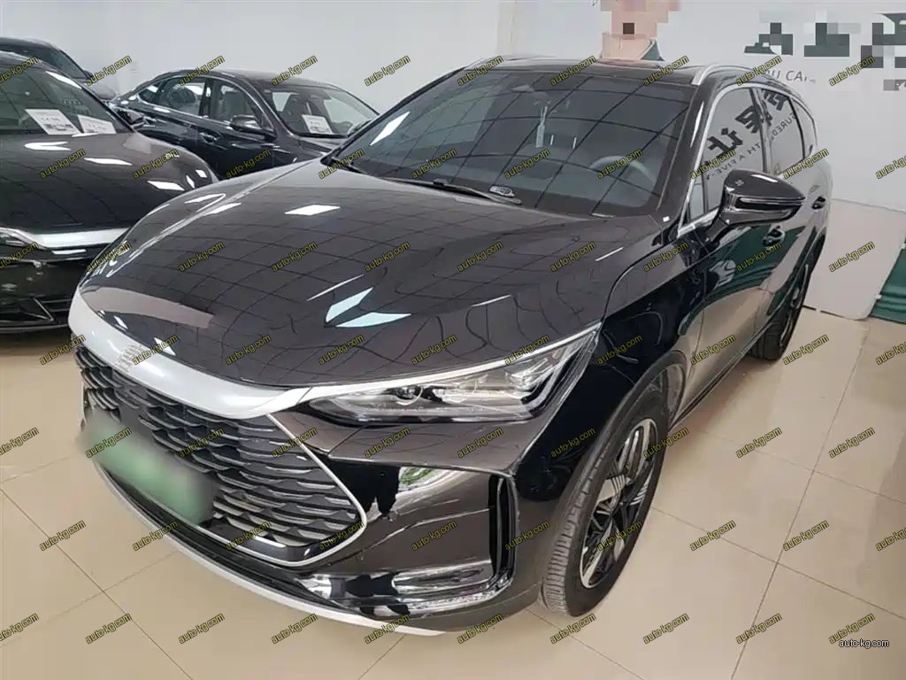 BYD Tang New Energy 2024