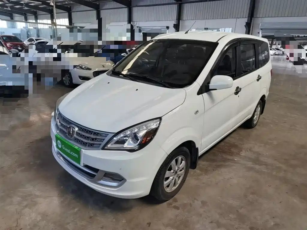 BAW Weiwang M20 2014
