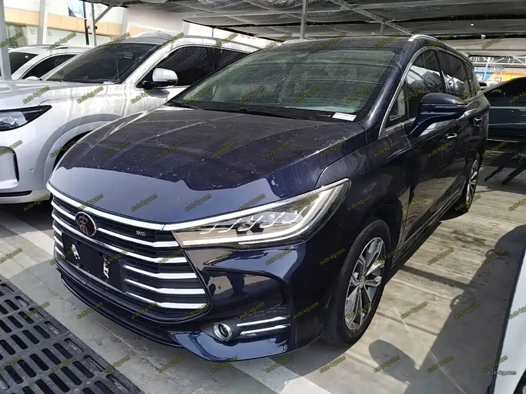 BYD MAX 2019