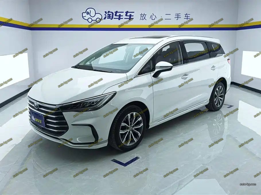 BYD MAX 2021
