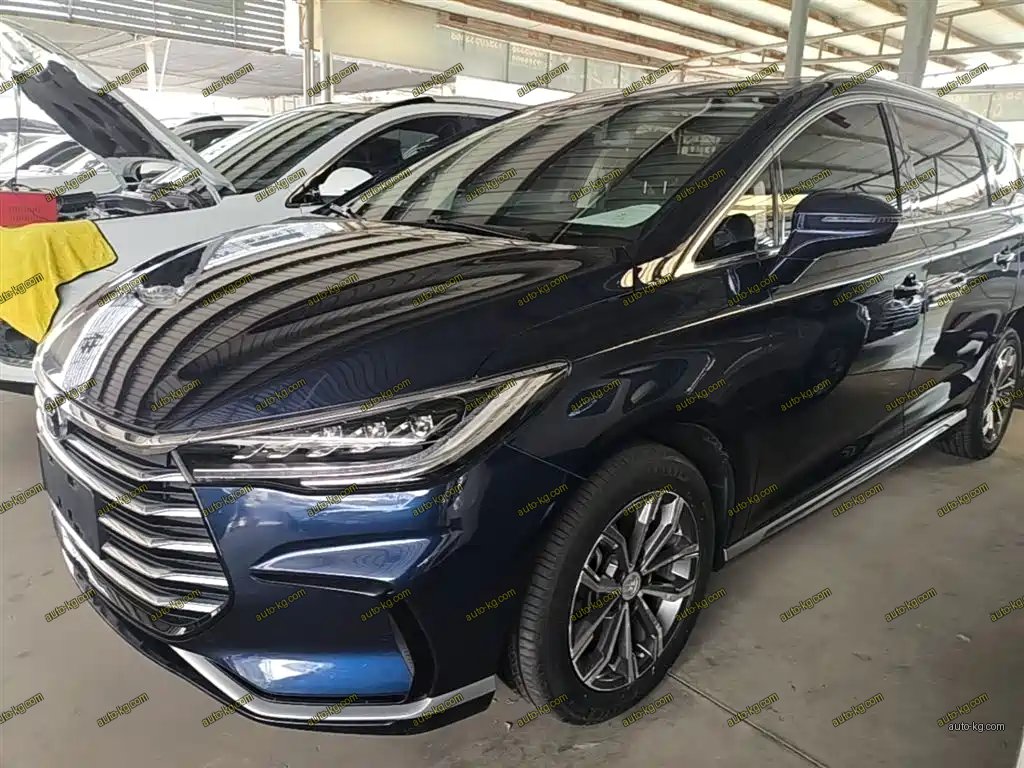 BYD MAX 2021