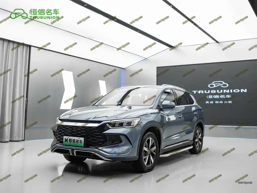 BYD Pro New Energy 2024