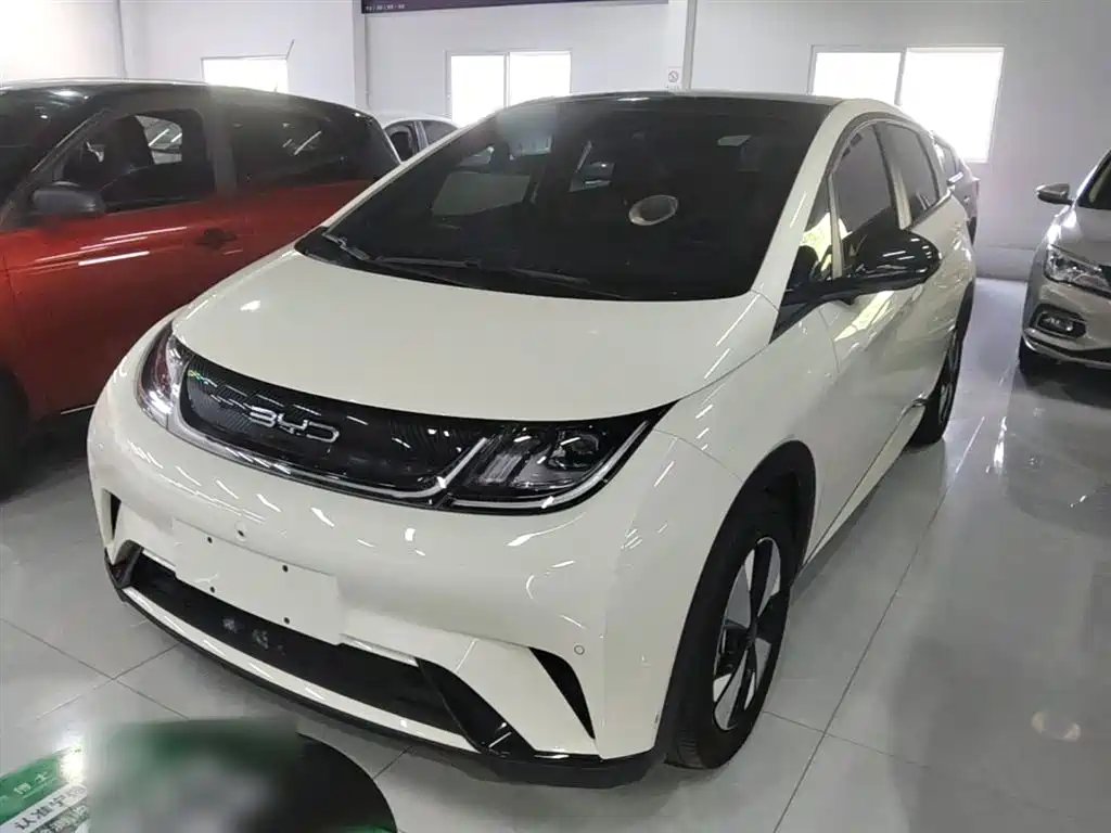 BYD Dolphin 2024
