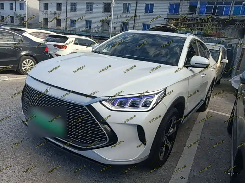 BYD PLUS New Energy 2022