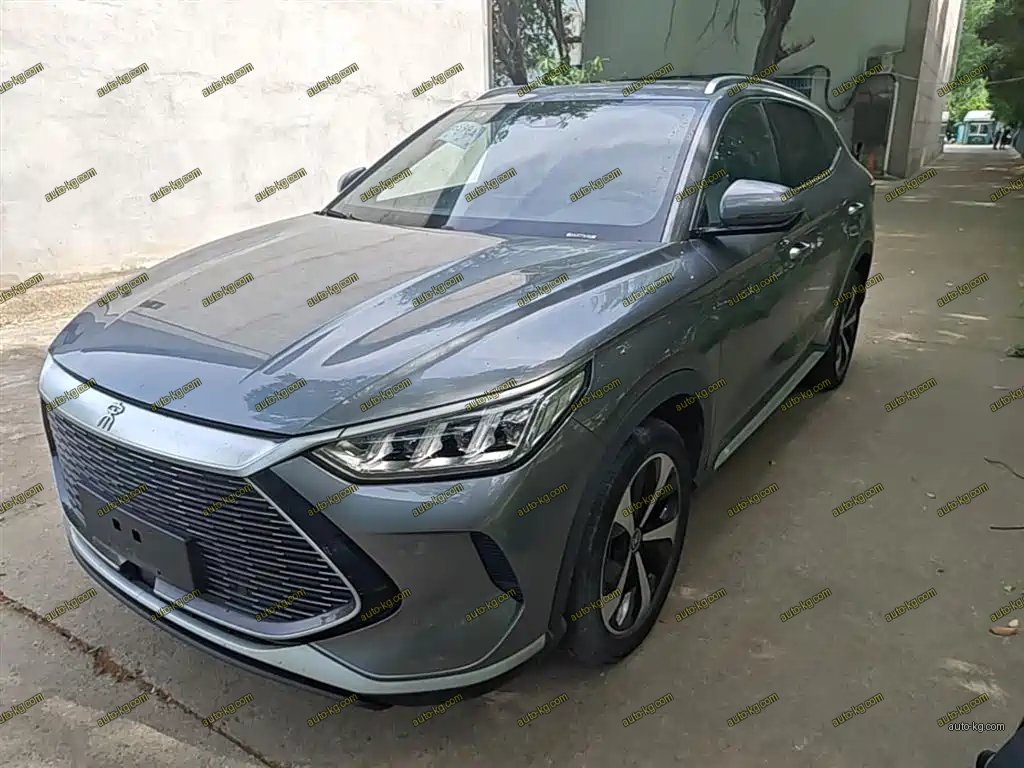 BYD PLUS New Energy 2022