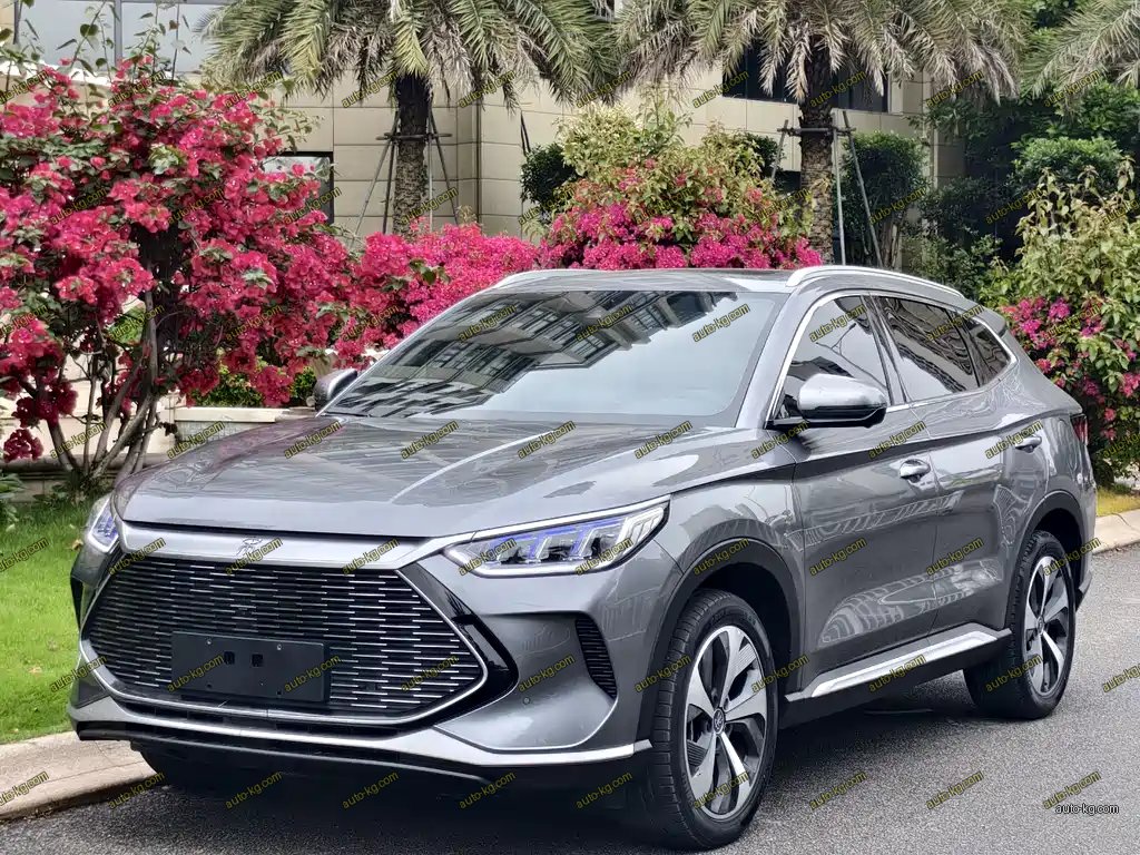 BYD PLUS New Energy 2023