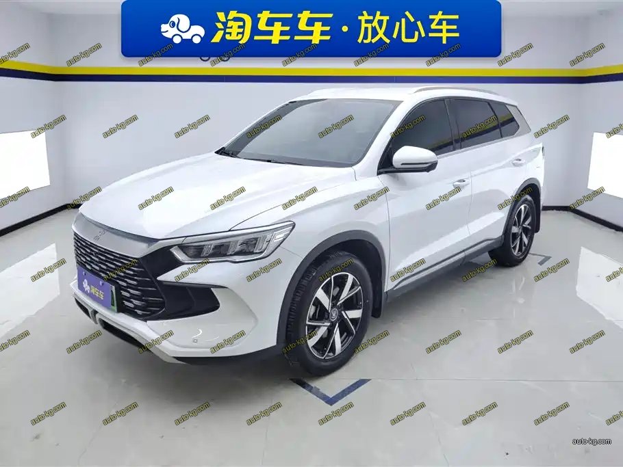 BYD Pro New Energy 2024