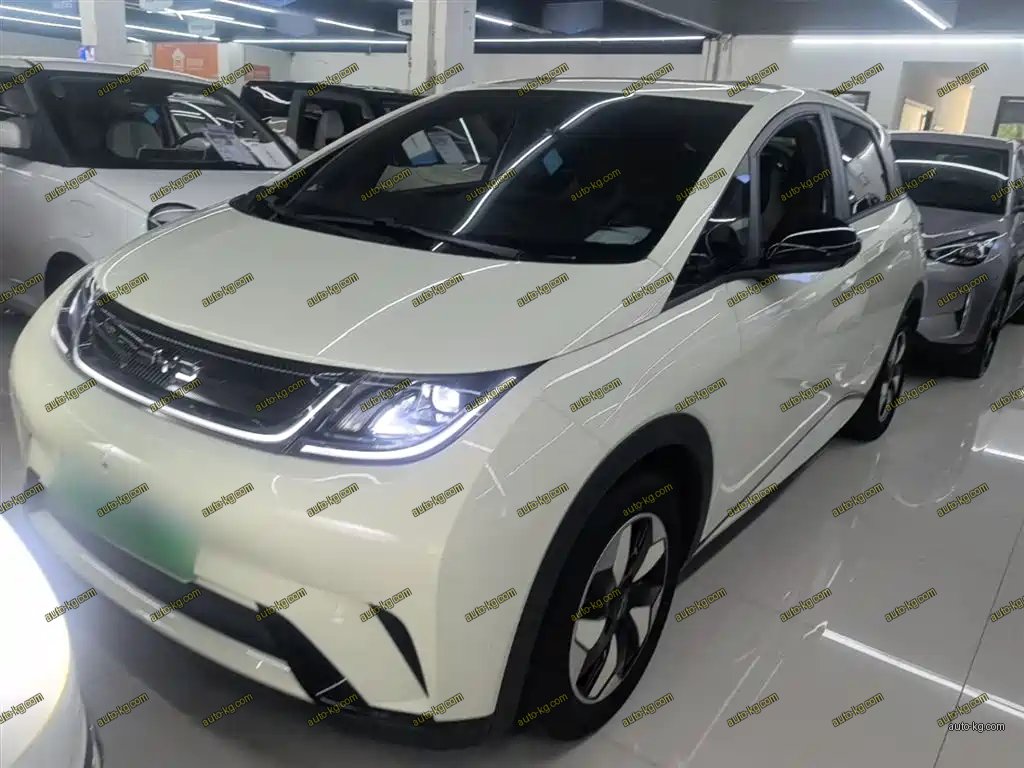 BYD Dolphin 2026