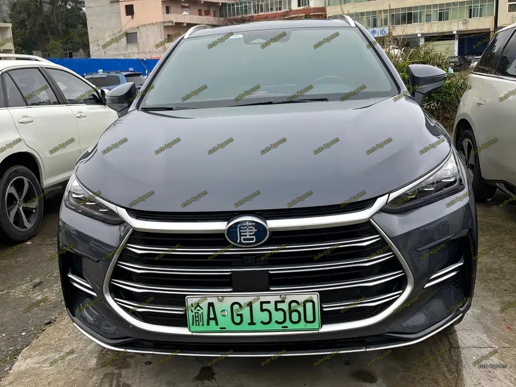BYD Tang New Energy 2022
