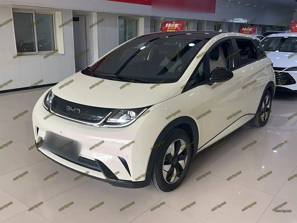 BYD Dolphin 2025