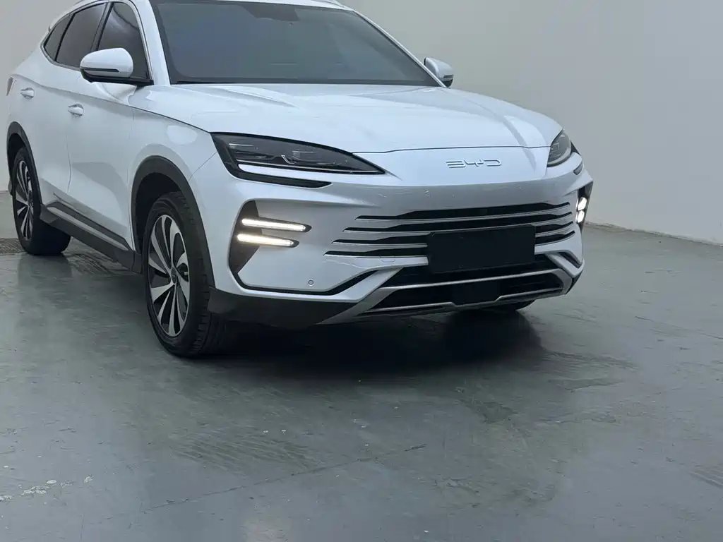 BYD PLUS New Energy 2024