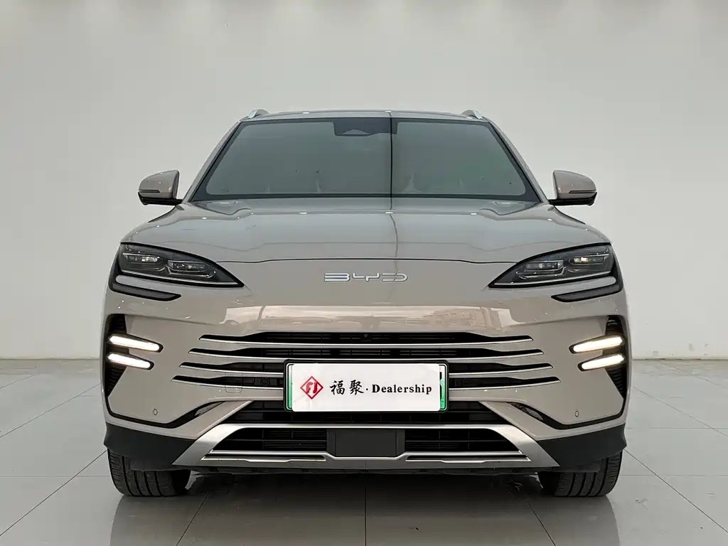 BYD PLUS New Energy 2024