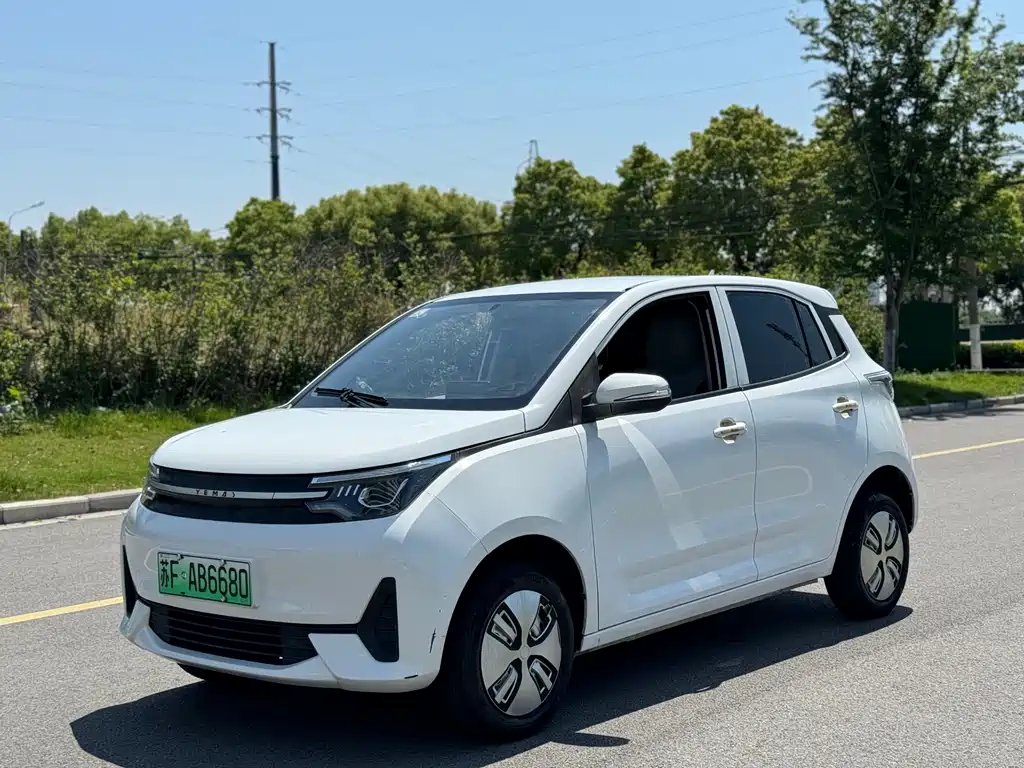 Lei Ding 雷丁芒果Pro 2022
