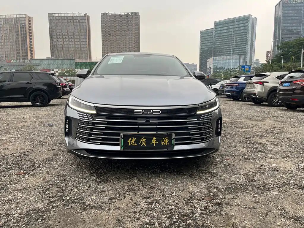 BYD Destroyer 05 2024